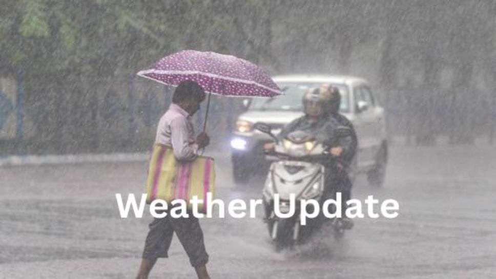 Weather Update: हरियाणा में 30 अगस्त तक तेज बारिश के आसार, कई जिलों में किया येलो अलर्ट जारी