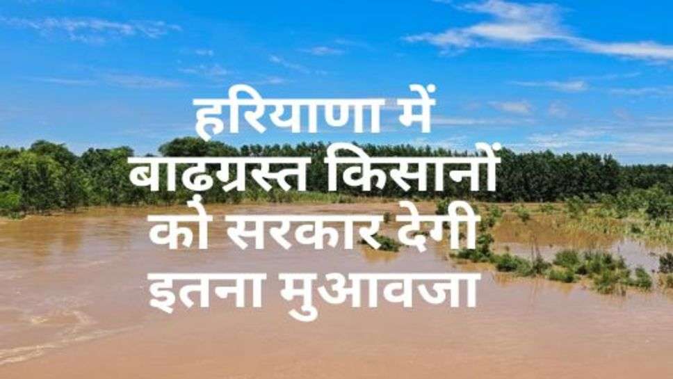 Haryana News : हरियाणा में बाढ़ग्रस्त किसानों को सरकार देगी इतना मुआवजा, चेक करें