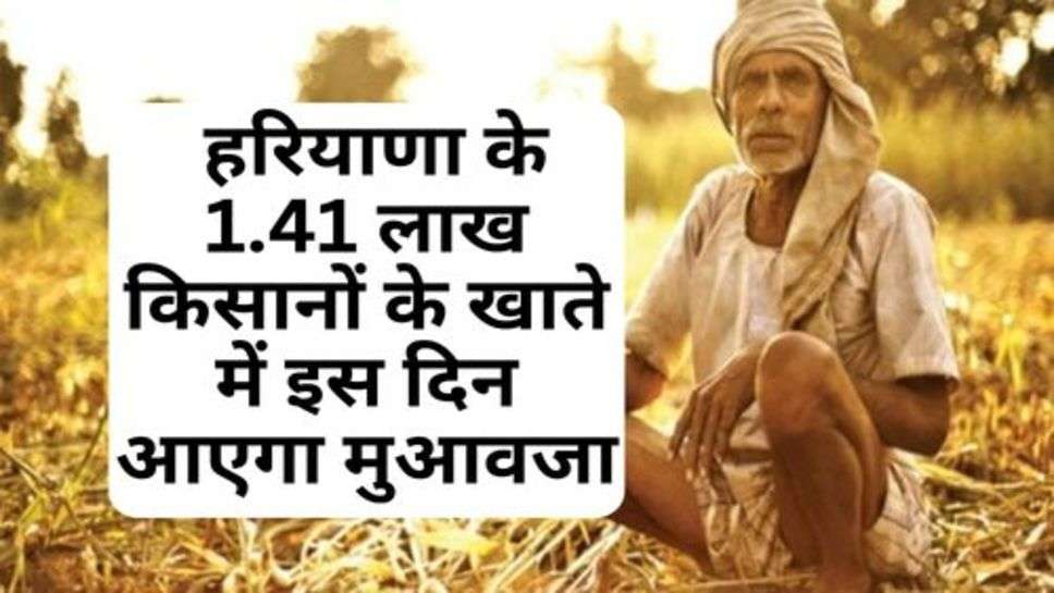 Haryana Sarkar : हरियाणा के 1.41 लाख किसानों के खाते में इस दिन आएगा मुआवजा