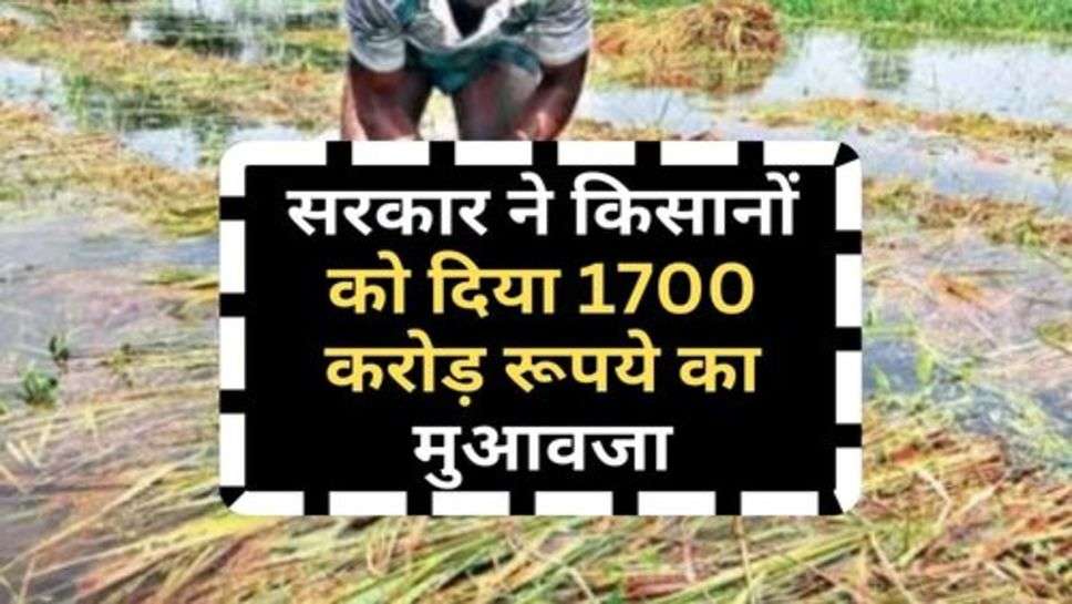 Fasal Bima Yojana : सरकार ने किसानों को दिया 1700 करोड़ रूपये का मुआवजा, आपके खाते में आए कितने पैसे