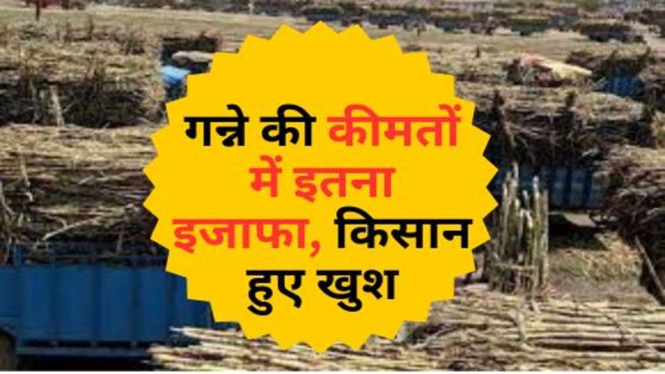 Sugarcane Price : गन्ने की कीमतों में इतना इजाफा, किसान हुए खुश