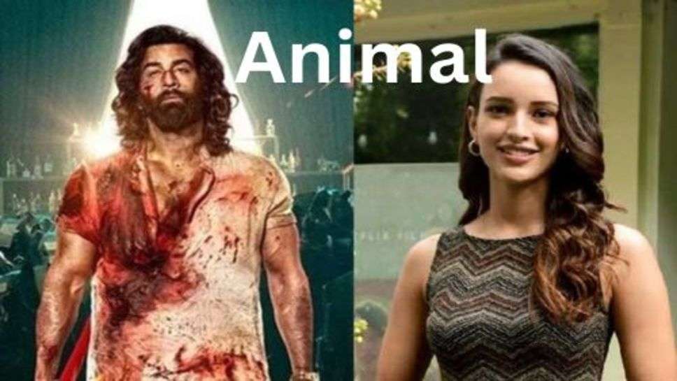 Tripti Dimri in Animal Movie: रणबीर कपूर की एनिमल में एक ही सीन से बवाल मचाने वाले तृप्ति डिमरी पहले क्या करती थी