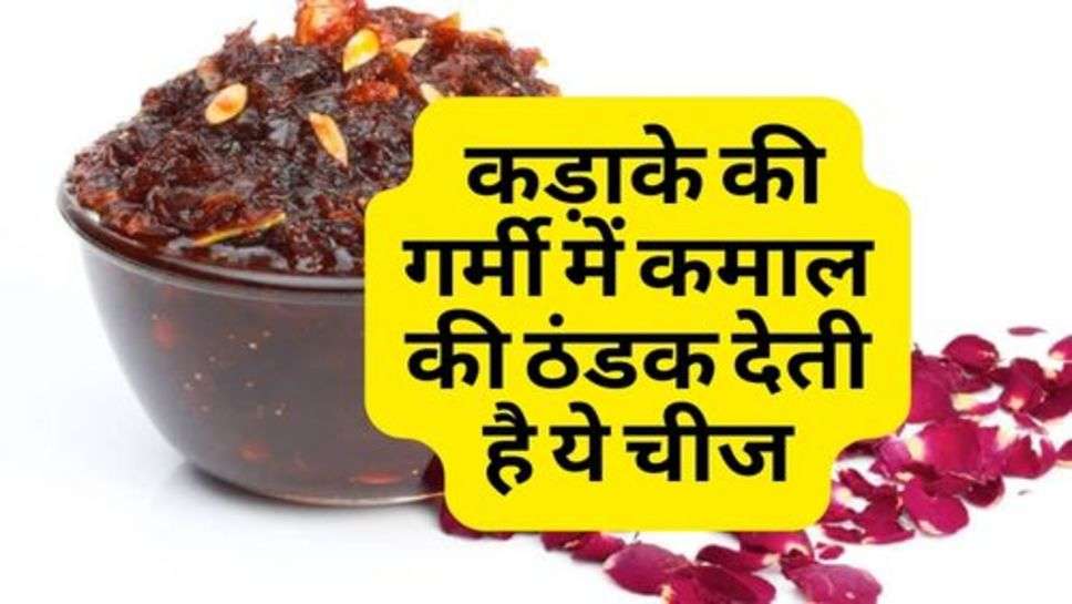 Cooking Tips : कड़ाके की गर्मी में कमाल की ठंडक देती है ये चीज, रेसिपी जानें हमारे साथ