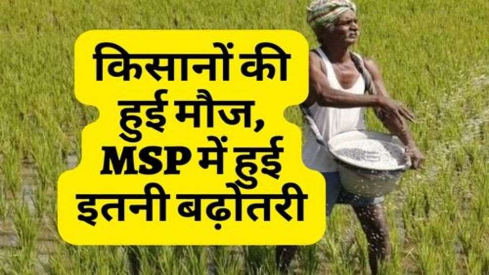 किसानों की हुई मौज, MSP में हुई इतनी बढ़ोतरी