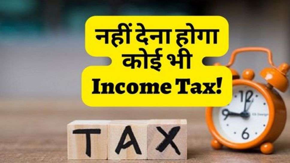 सरकार का बड़ा फैसला, नहीं देना होगा कोई भी Income Tax!