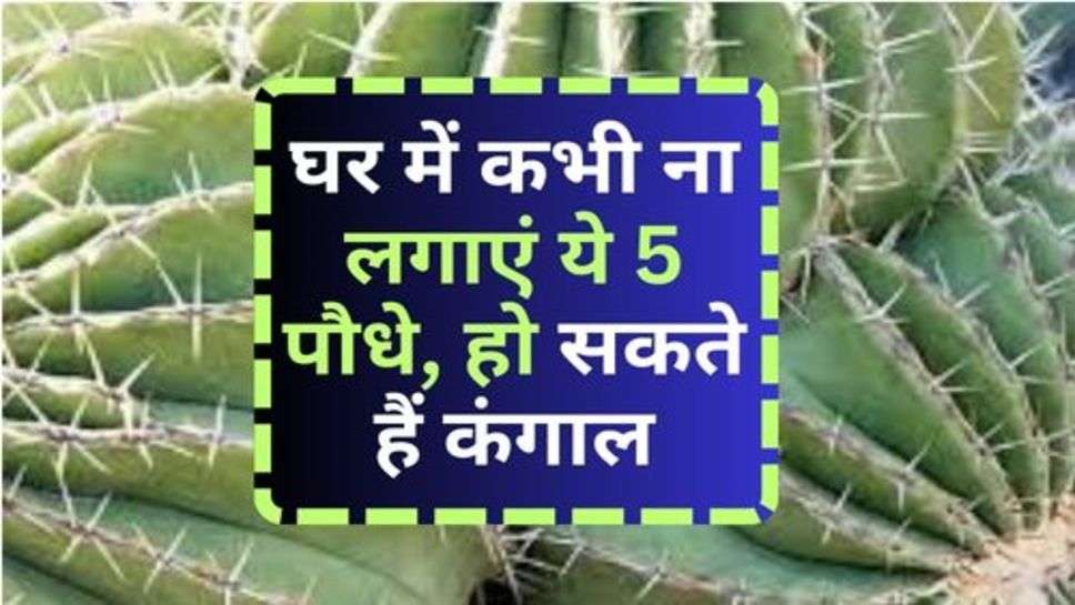 Unlucky Plants : घर में कभी ना लगाएं ये 5 पौधे, हो सकते हैं कंगाल