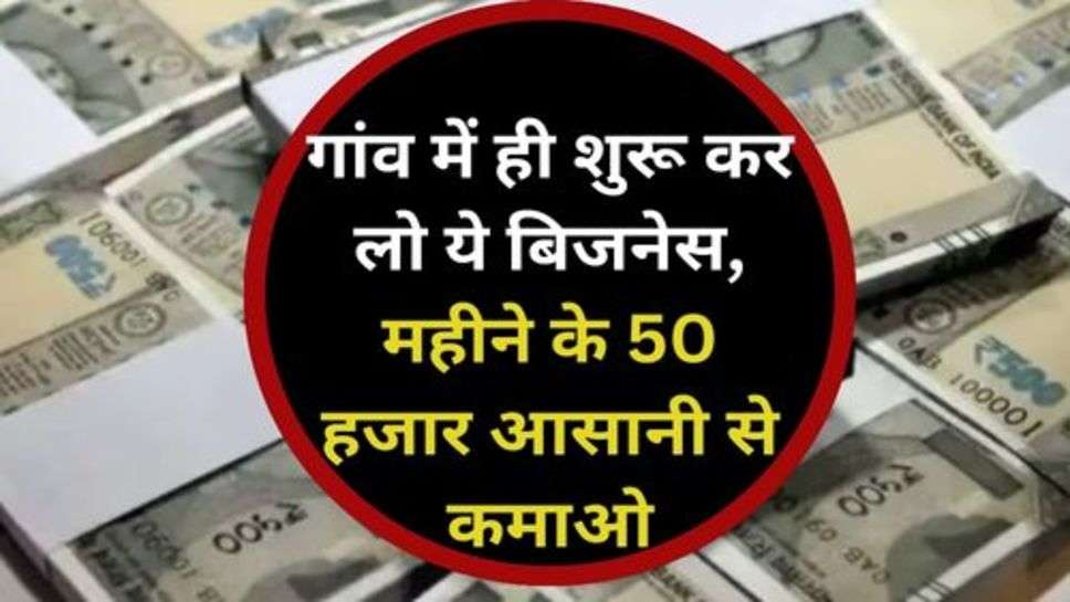 Small Business Idea: छोड़ो सारे काम, गांव में ही शुरू कर लो ये बिजनेस, महीने के 50 हजार आसानी से कमाओ