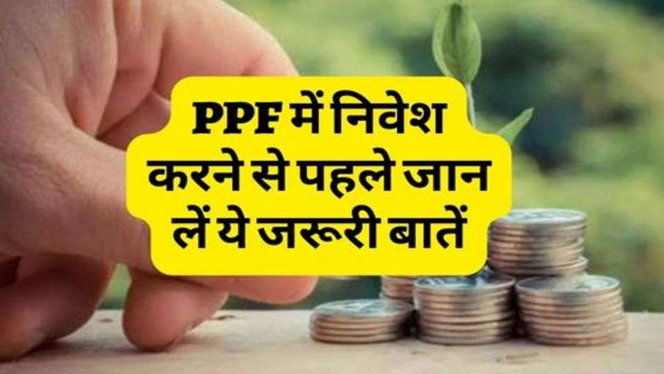 PPF में निवेश करने से पहले जान लें ये जरूरी बातें, वरना हो सकता है नुकसान