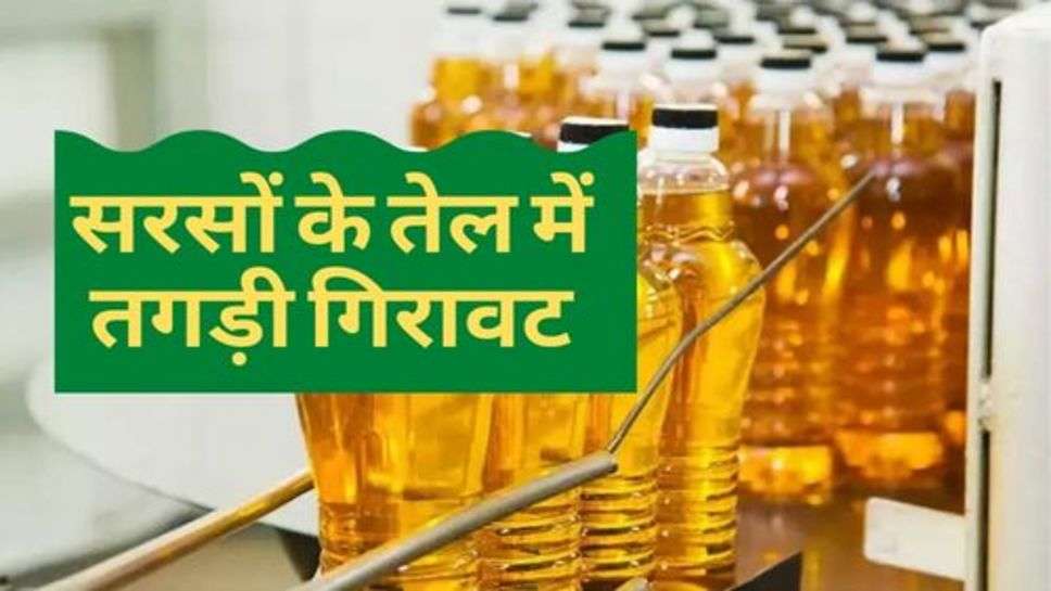 Mustard Oil Price : सरसों के तेल में तगड़ी गिरावट, चेक करें आज के ताजा रेट