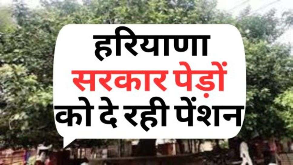 Haryana Government Scheme : हरियाणा सरकार पेड़ों को दे रही पेंशन, जानें कैसे करें योजना के लिए आवेदन