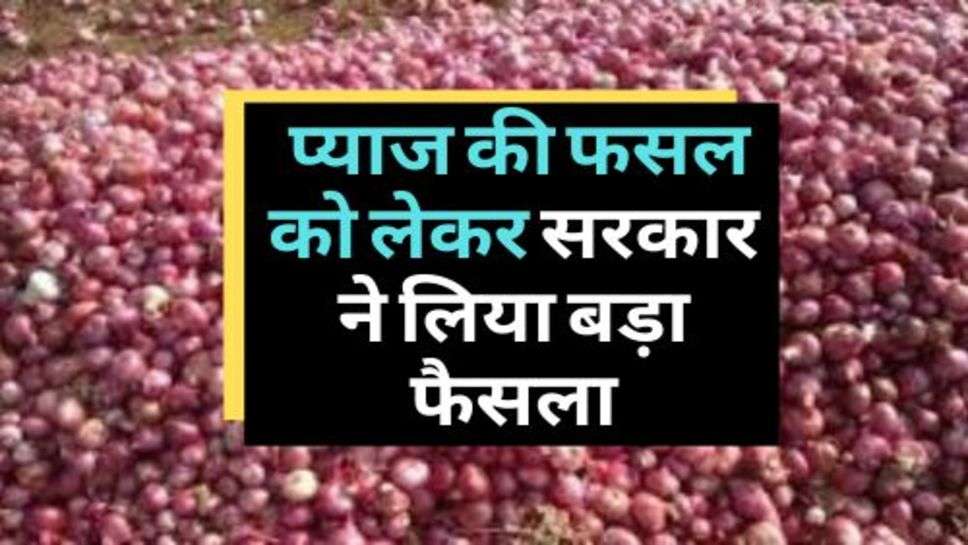 Onion Price : प्याज की फसल को लेकर सरकार ने लिया बड़ा फैसला, सुनकर खुश हुए किसान