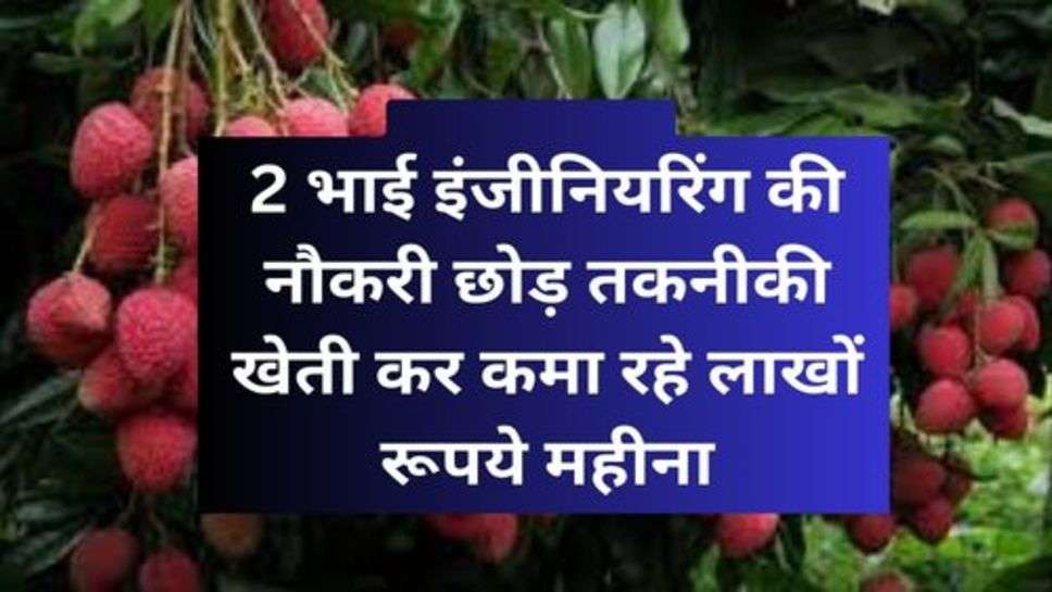 Success Story: 2 भाई इंजीनियरिंग की नौकरी छोड़ तकनीकी खेती कर कमा रहे लाखों रूपये महीना