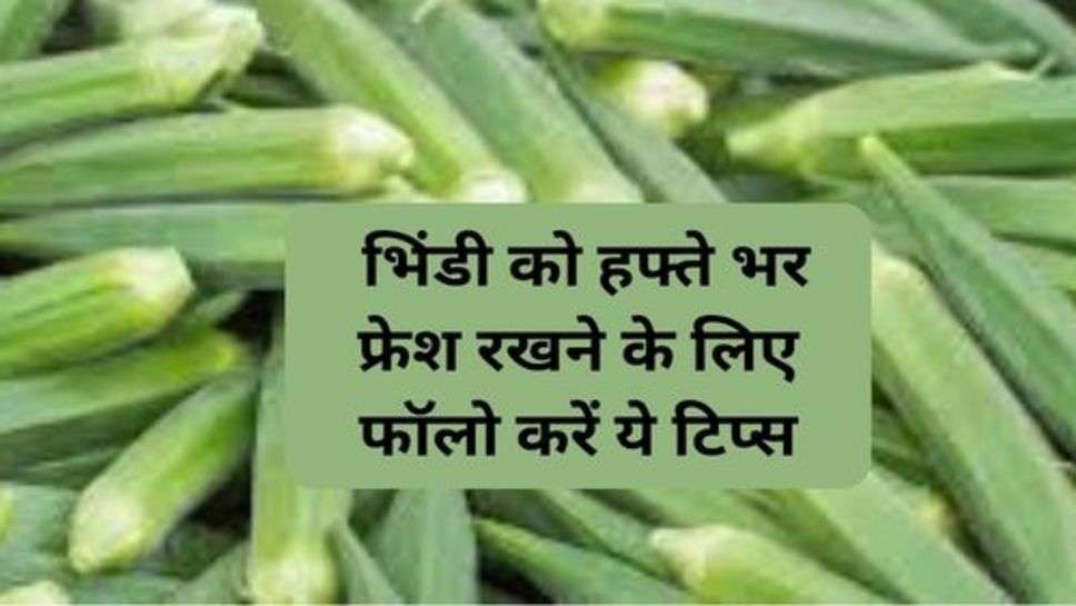 Health Tips : भिंडी को हफ्ते भर फ्रेश रखने के लिए फॉलो करें ये टिप्स