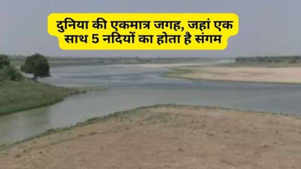 5 Rivers : दुनिया की एकमात्र जगह, जहां एक साथ 5 नदियों का होता है संगम