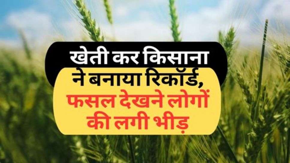 Kisan News : वैज्ञानिक तरीके से खेती कर किसाना ने बनाया रिकॉर्ड, फसल देखने लोगों की लगी भीड़