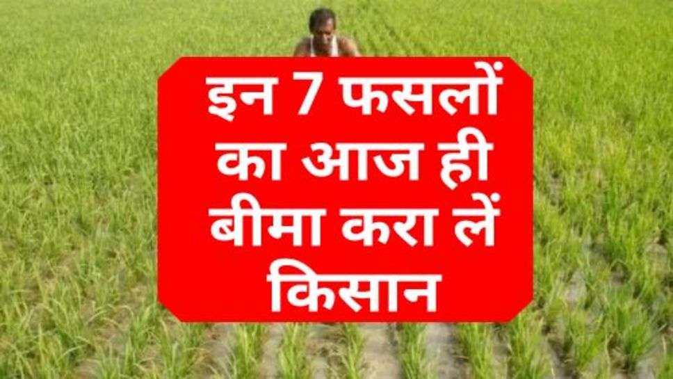 Crops Insured : इन 7 फसलों का आज ही बीमा करा लें किसान