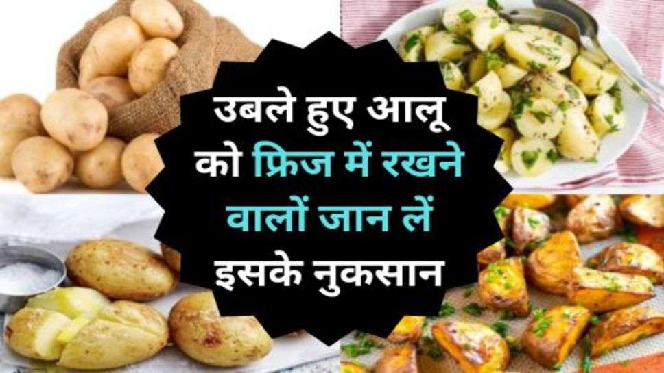 Potato Benefits : उबले हुए आलू को फ्रिज में रखने वालों जान लें इसके नुकसान