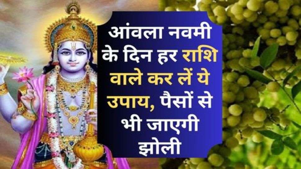 Amla Navami : आंवला नवमी के दिन हर राशि वाले कर लें ये उपाय, पैसों से भी जाएगी झोली