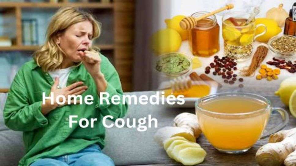 Home Remedies For Cough: पिछा नहीं छोड़ी रही खांसी तो अपनाएं ये घेरेलु चीजें, तुरंत मिलेगी राहत