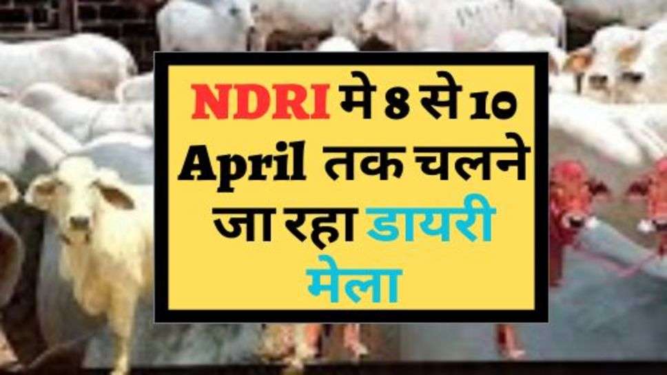 NDRI मे 8 से 10 April  तक चलने जा रहा डायरी मेला, कौन होंगे मुख्य अतिथि