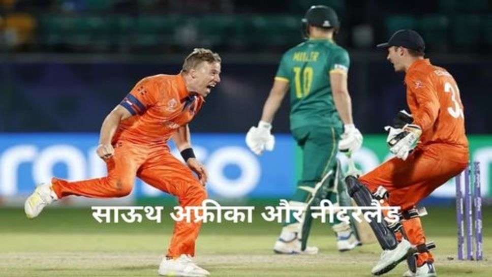 South Africa vs Netherlands Highlight: नीदरलैंड के आगे दक्षिण अफ्रीका चारों खाने चित्त