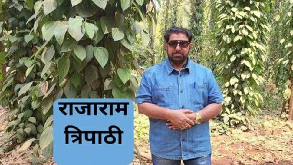 Farmer Success Story: किसान ने खेती कर कमाए करोडों रूपये, जानें सफलता की कहानी