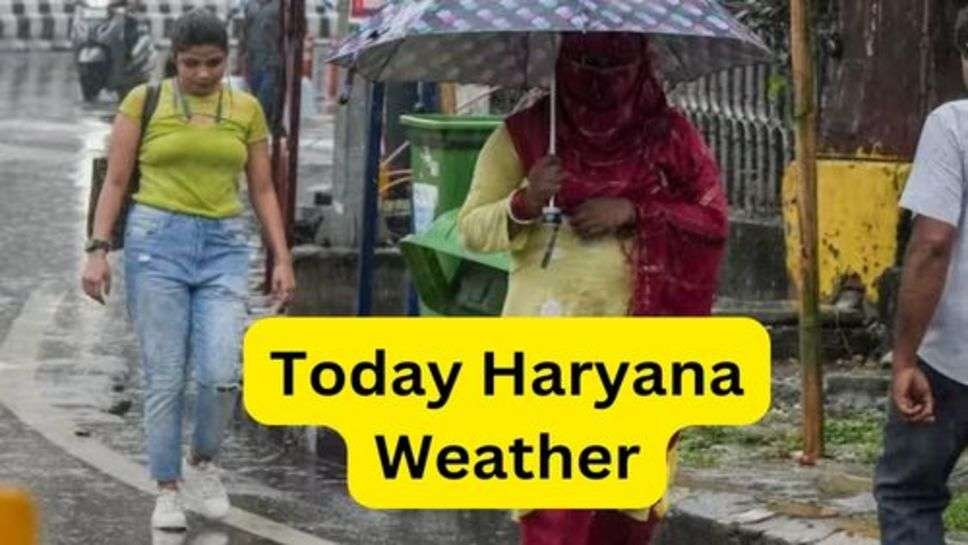 Weather Update: हरियाणा मे आज शाम से बदल सकता है मौसम, इन जिलों में हो सकती है बारिश