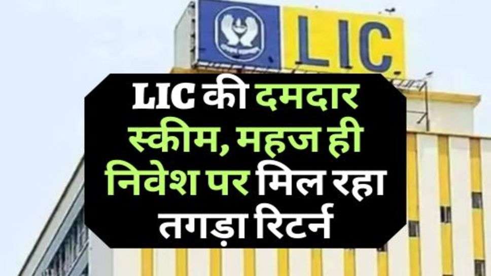 LIC की दमदार स्कीम, महज ही निवेश पर मिल रहा तगड़ा रिटर्न