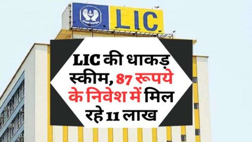 LIC की धाकड़ स्कीम, 87 रूपये के निवेश में मिल रहे 11 लाख