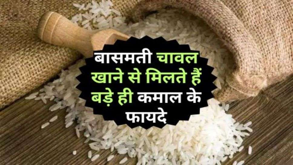 Basmati Rice: बासमती चावल खाने से मिलते हैं बड़े ही कमाल के फायदे, आज ही करे दें खाना शुरू