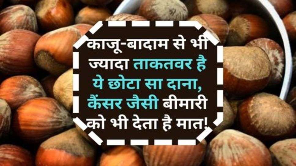 Cashew-Almond : काजू-बादाम से भी ज्यादा ताकतवर है ये छोटा सा दाना, कैंसर जैसी बीमारी को भी देता है मात!