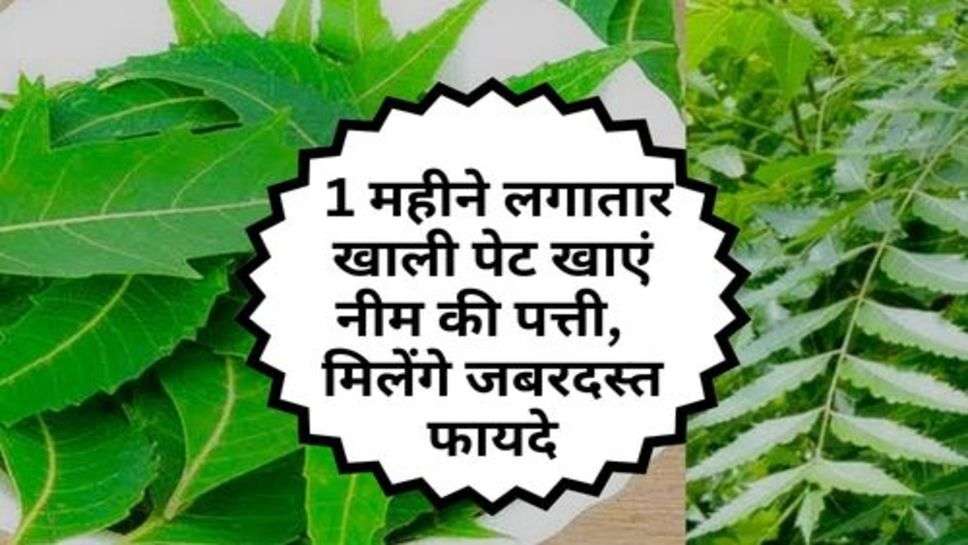 Neem Leaf : 1 महीने लगातार खाली पेट खाएं नीम की पत्ती, यह मिलेंगे जबरदस्त फायदे