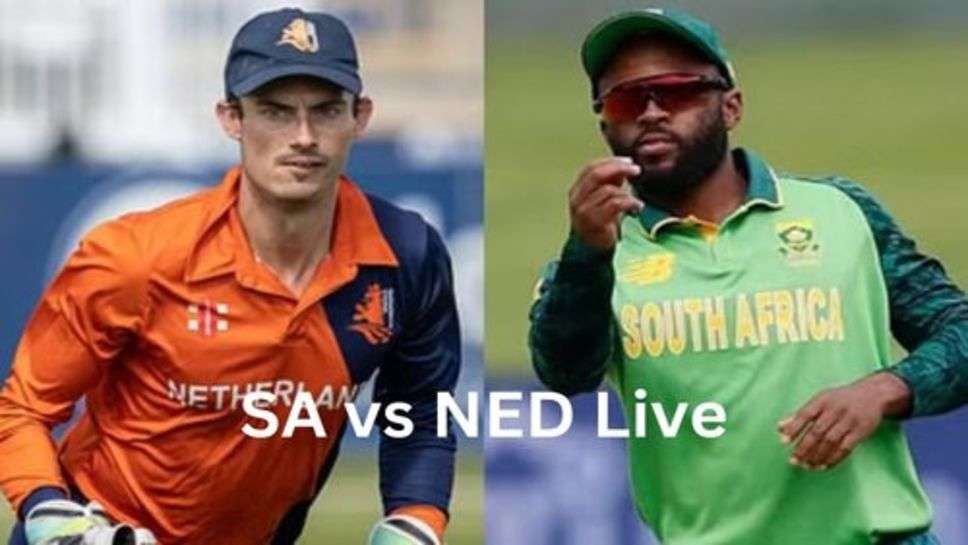 South Africa vs Netherlands Live: कुछ ही देर में शुरू होने जा रहा विश्व कप का 14 वां मुकाबला SA vs NED के बीच