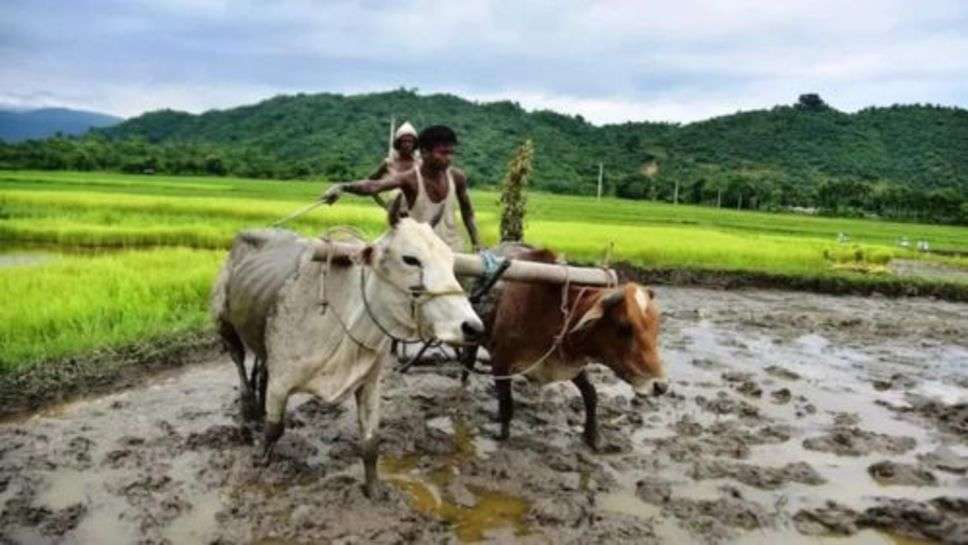 Kisan Yojana : 72 लाख किसानों को मोदी सरकार ने चुनाव से पहले दी बड़ी सौगात, आप भी जानें