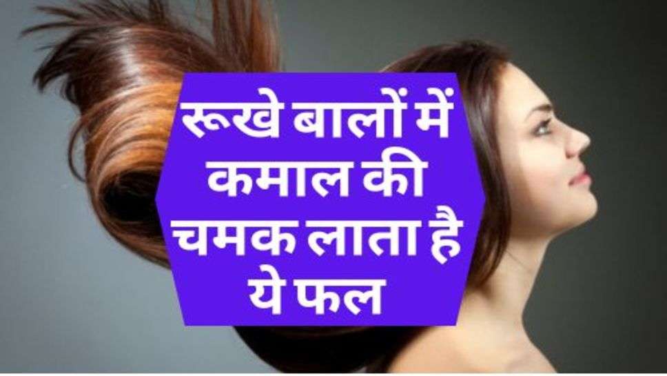 Hair Care Tips : रूखे बालों में कमाल की चमक लाता है ये फल, आज ही करें खाना शुरू