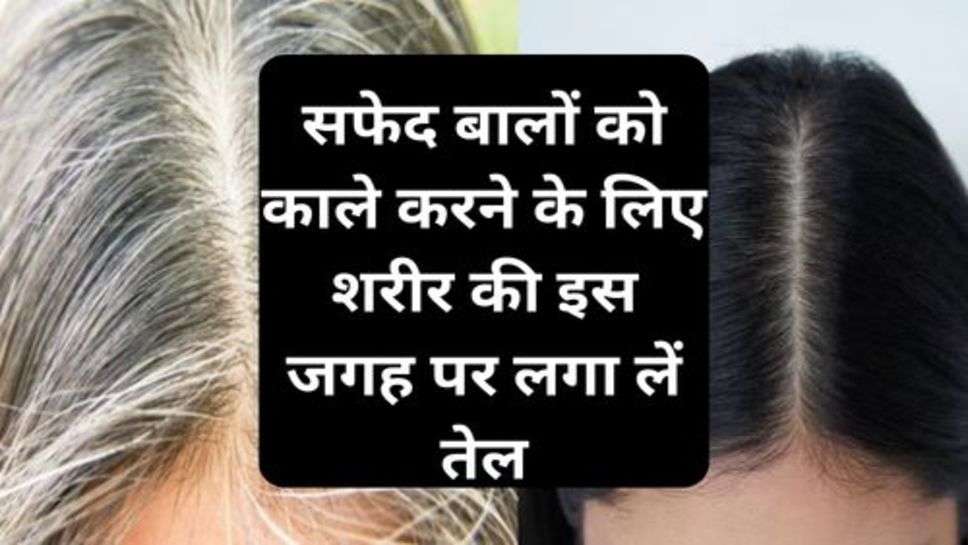 Hair Care Tips : सफेद बालों को काले करने के लिए शरीर की इस जगह पर लगा लें तेल, 7 दिनों में हो जाएगा असर