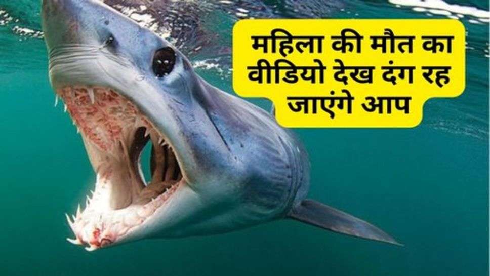 Shark Such A Dangerous Attack : समुद्र में शार्क ने किया ऐसा खतरनाक हमला, महिला की मौत का वीडियो देख दंग रह जाएंगे आप