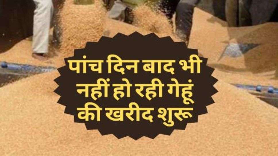 Kisan News : पांच दिन बाद भी नहीं हो रही गेहूं की खरीद शुरू, किसान परेशान