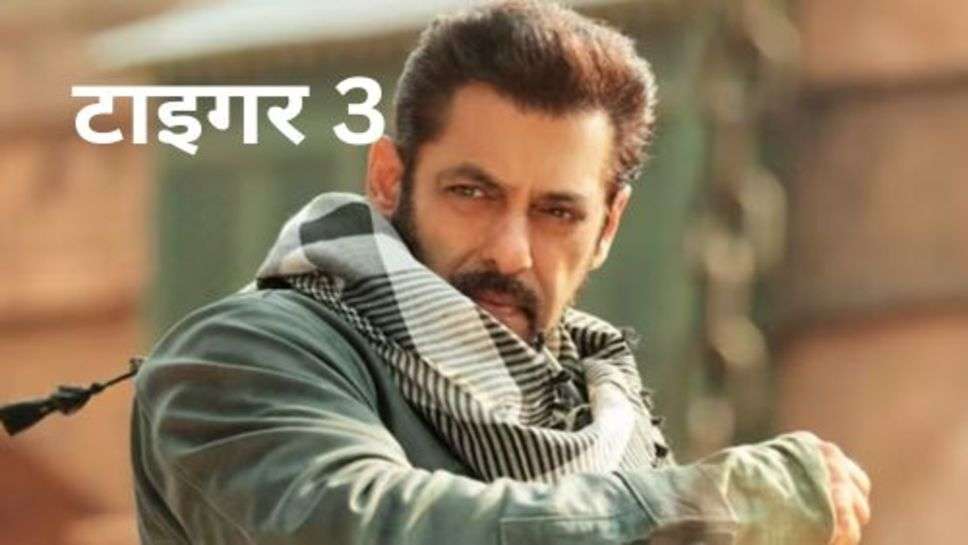 Tiger 3 Box office Day 15: एक बार फिर सुनी टाइगर की दहाड़, कमाई में दिखाया जंप