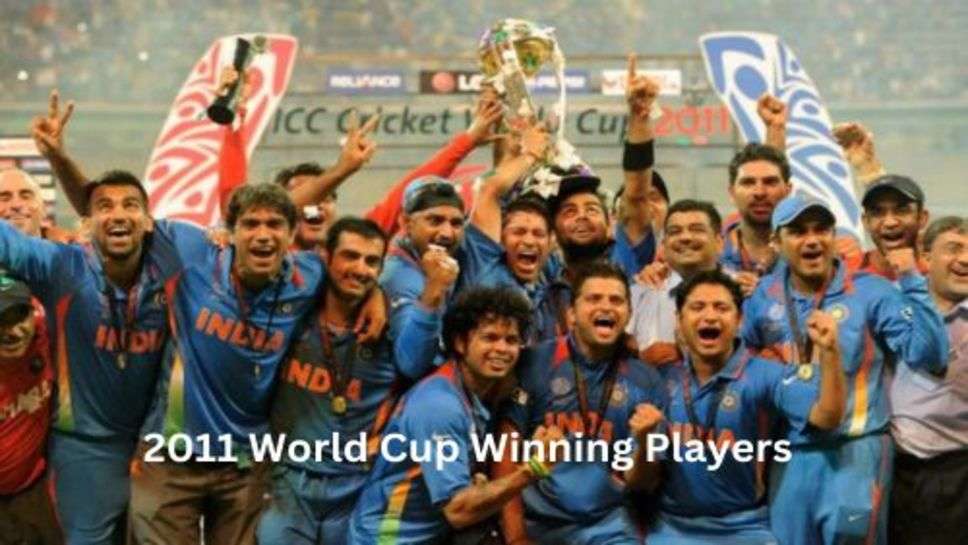 India 2011 World Cup Winning Players: कहां किस हाल में हैं भारत के 2011 विश्व कप विजेता खिलाड़ी