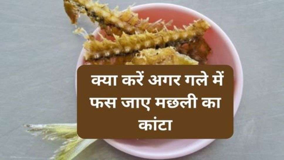 Health Tips : क्या करें अगर गले में फस जाए मछली का कांटा