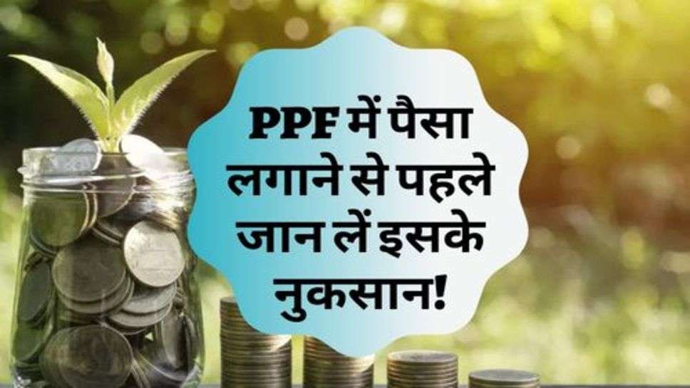 PPF में पैसा लगाने से पहले जान लें इसके नुकसान!