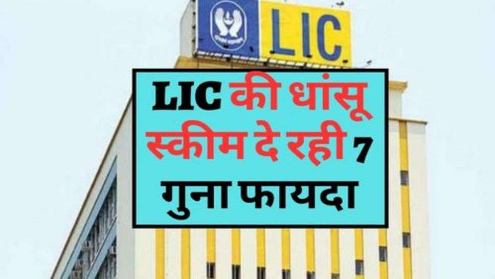 LIC की धांसू स्कीम दे रही 7 गुना फायदा, चेक करें डिटेल्स