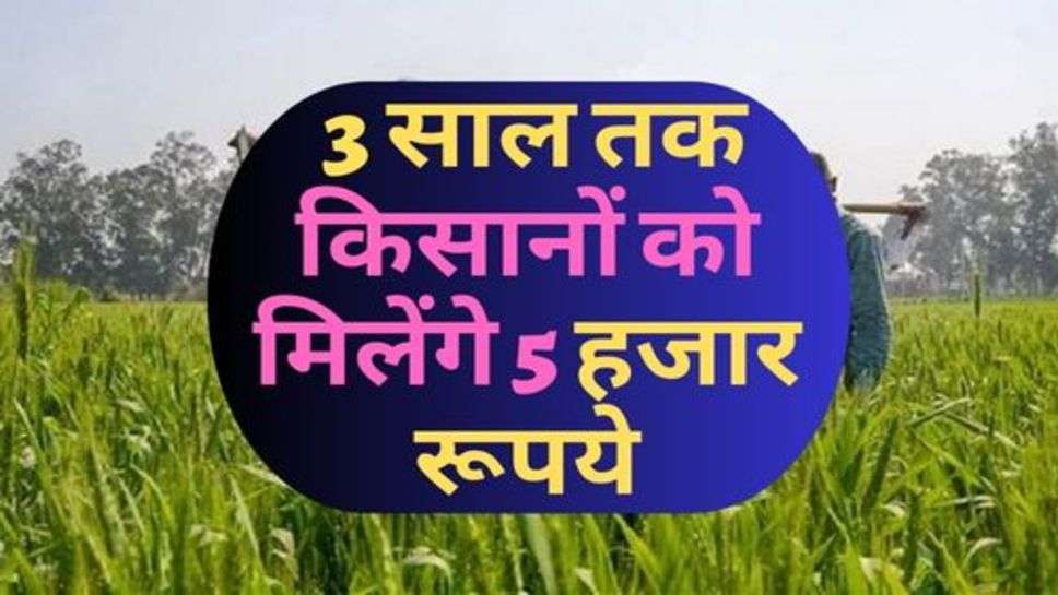 Haryana Kisan News : हरियाणा सरकार का बड़ा फैसला, 3 साल तक किसानों को मिलेंगे 5 हजार रूपये