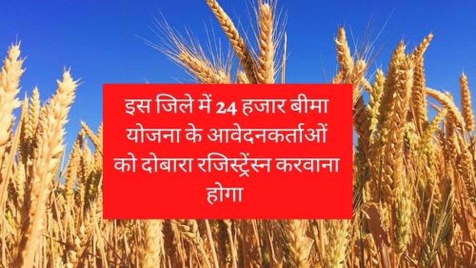 Goverment Scheme: इस जिले में 24 हजार बीमा योजना के आवेदनकर्ताओं को दोबारा रजिस्ट्रेंस्न करवाना होगा