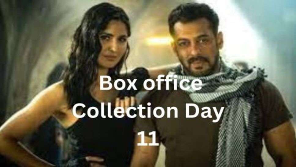 Tiger 3 Box office Collection Day 11: टाइगर 3 ने 11 वें दिन की कमाई में करी वापसी, छापे इतने नोट