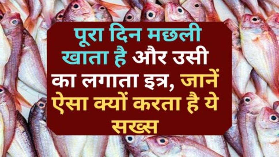 Fish Lover : पूरा दिन मछली खाता है और उसी का लगाता इत्र, जानें ऐसा क्यों करता है ये सख्स