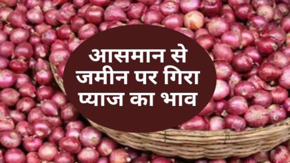 Onion Price : आसमान से जमीन पर गिरा प्याज का भाव, प्याज की कीमत देखकर चौंक जाएंगे!