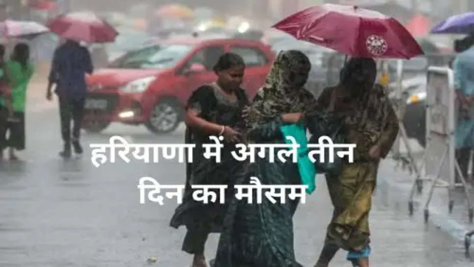 Haryana Weather: हरियाणा में बारिश ने दी दस्तक जाने अगले 3 दिन के मौसम का हाल