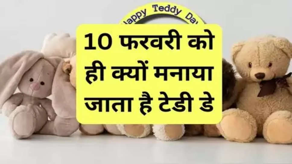 Happy Teddy Day  :  10 फरवरी को ही क्यों मनाया जाता है टेडी डे, जानें इतिहास